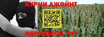 mdpv Гатчина