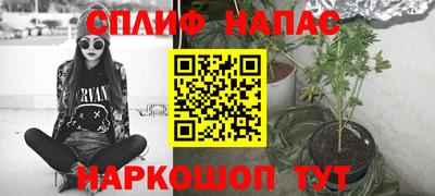 mdpv Гатчина