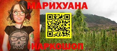 mdpv Гатчина