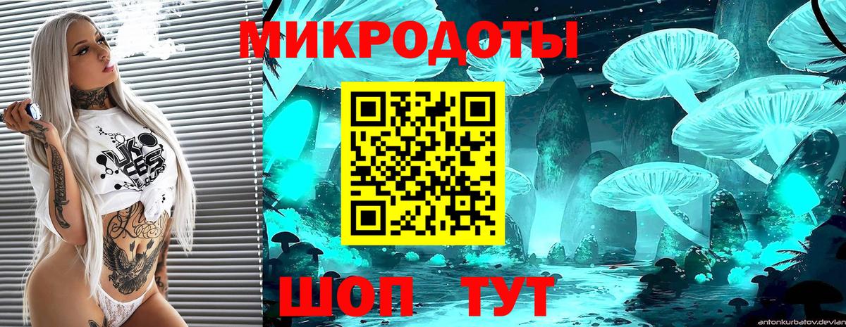 наркота  Галлюциногенные грибы мухоморы  Вход с VPN  Городец 